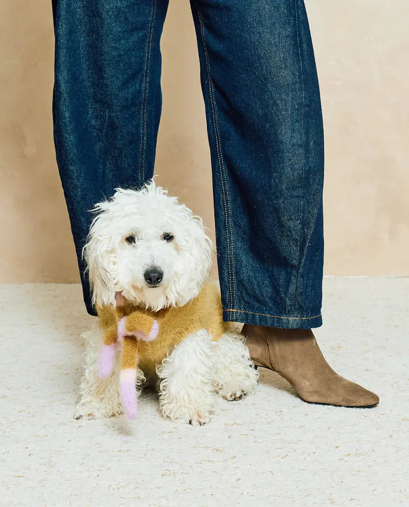 Patron PDF Tricot Phildar : Modèle manteau pour chien BILLIE en phil Hairy